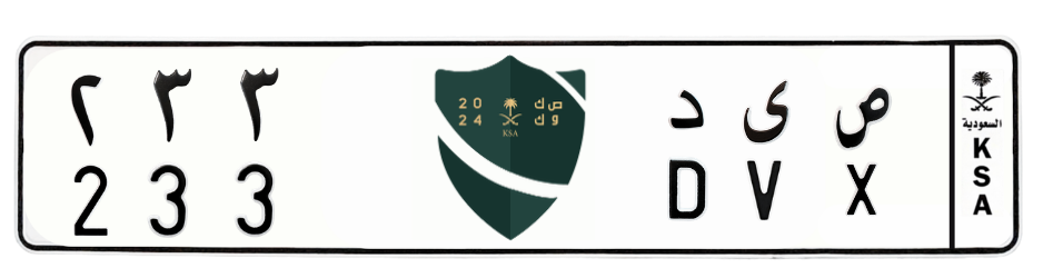 لوحة ص ى د 233